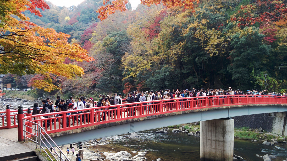 Taigetsukyo Bridge fall leaves