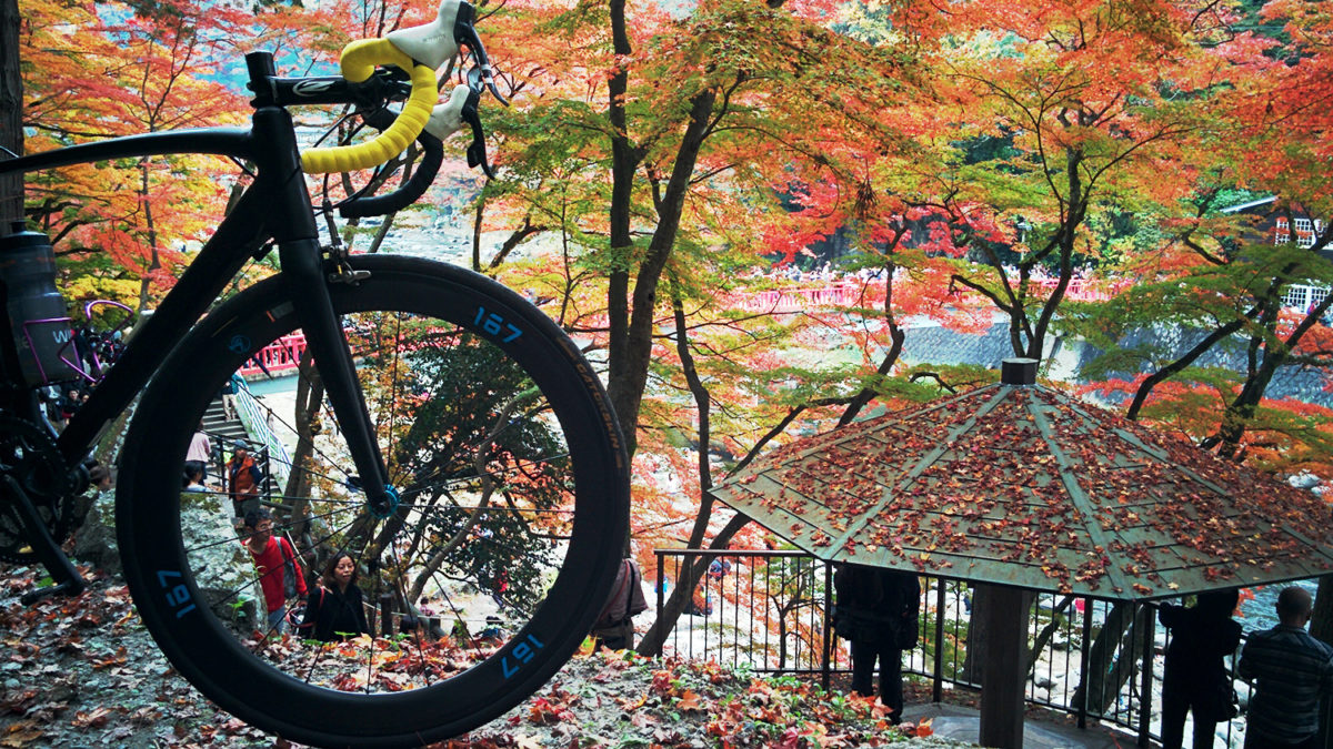 korankei fall leaves cycling imezi 167 wheels