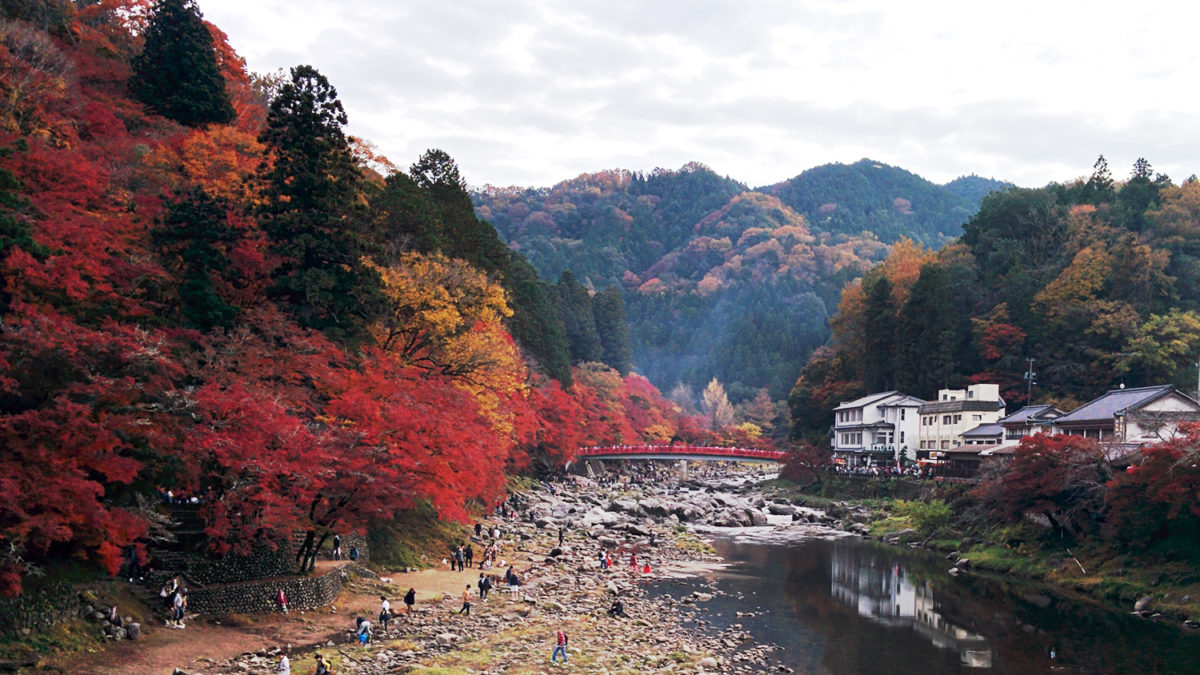 korankei red leaves river bridge view