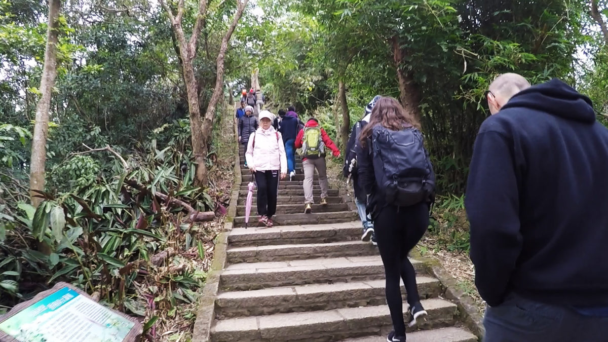 hiking elephant mountain crowded