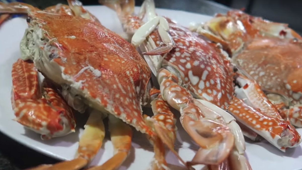 crab dinner vung tau vietnam cheap