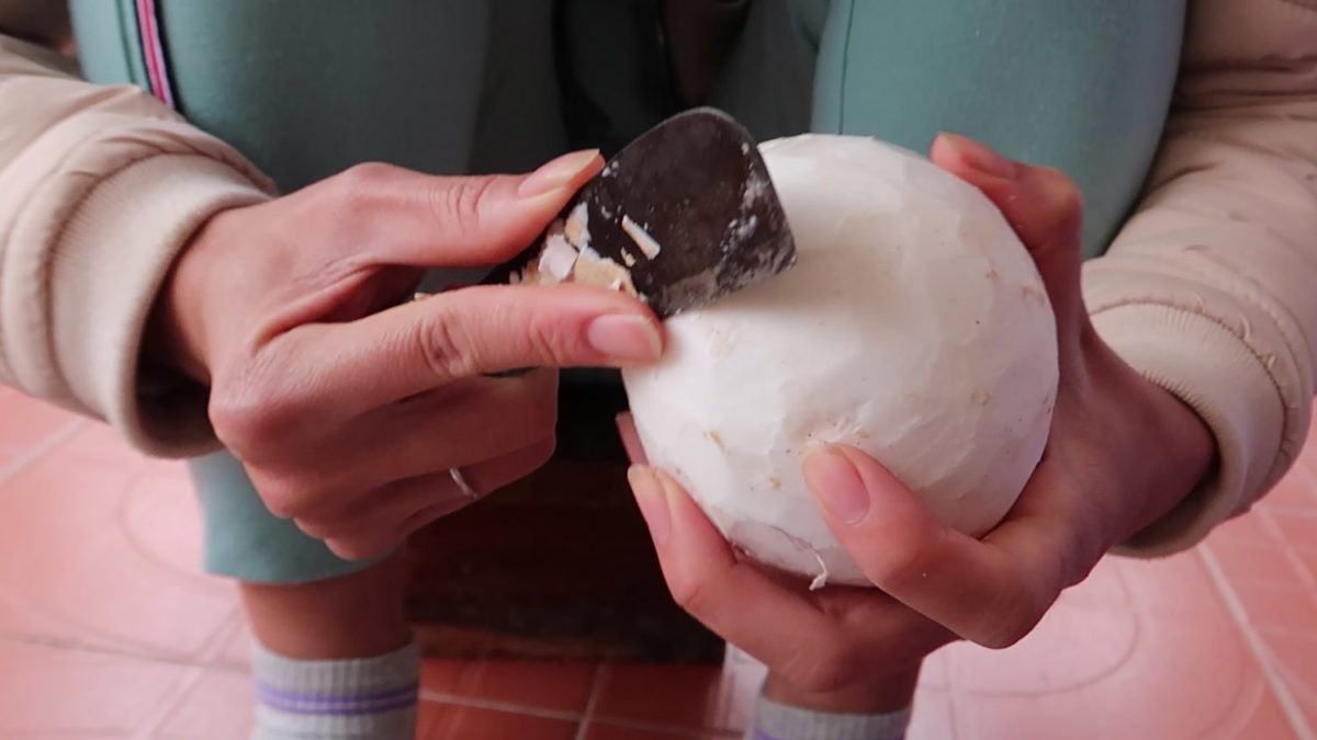 cut coconut peel