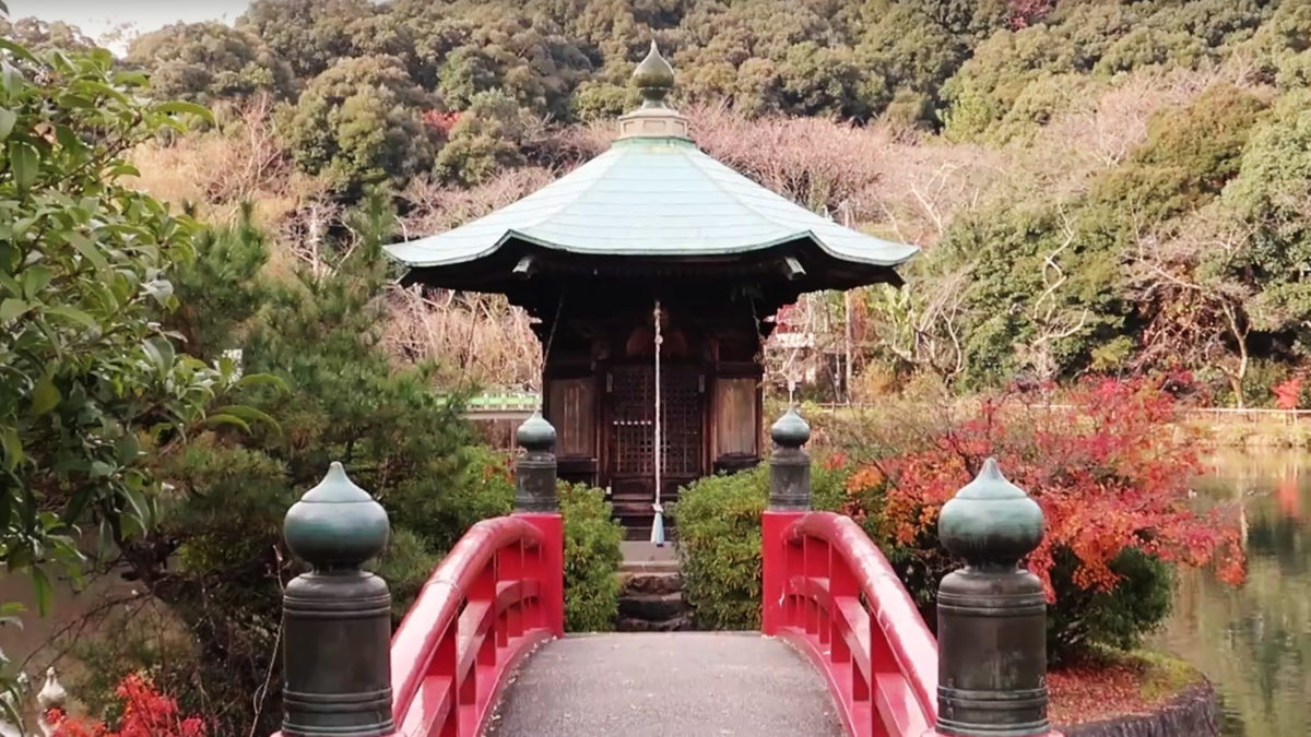 Joukouji Temple Autumn Cycling 定光寺 紅葉 サイクリング Two Wheel Cruise