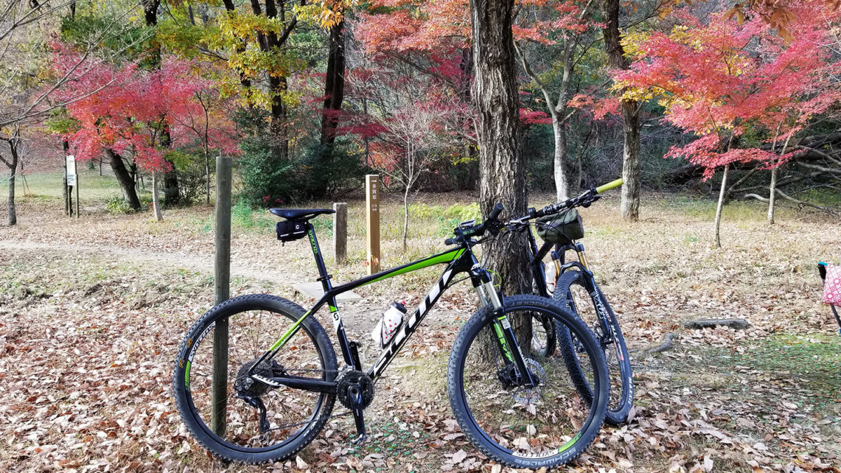 各務野自然遺産の森 MTB マウンテンバイク Japan